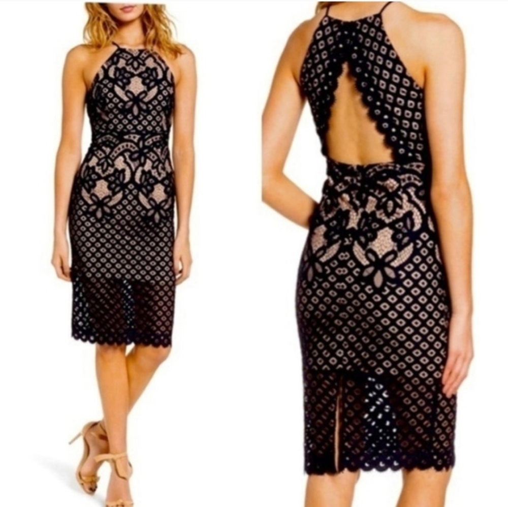 Bardot Navy Backless Lace Dress